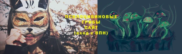 ГАЛЛЮЦИНОГЕННЫЕ ГРИБЫ Зеленокумск