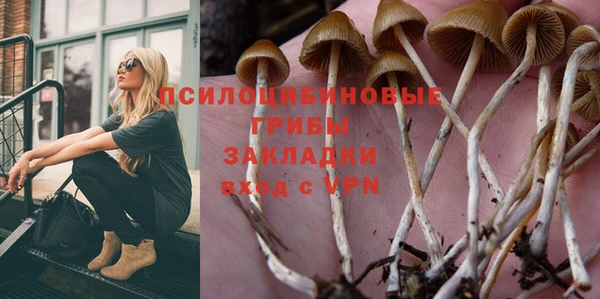 ГАЛЛЮЦИНОГЕННЫЕ ГРИБЫ Зеленокумск