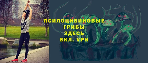марки lsd Зеленодольск